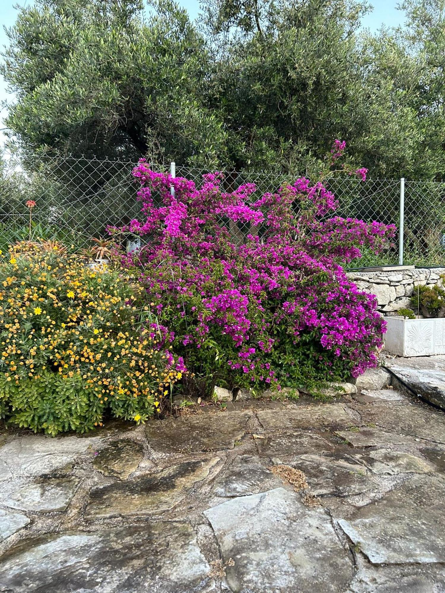 Old Stone Villa In Apokoronas Villa Nostalgia Kreta Filippos Ngoại thất bức ảnh
